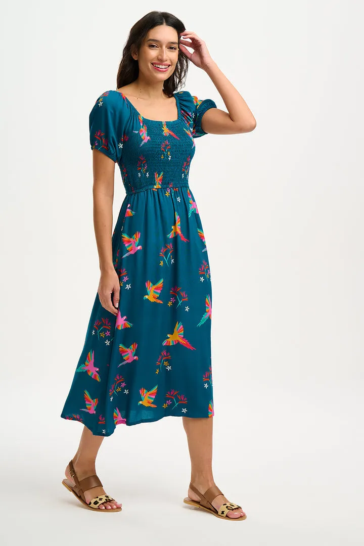 Sugarhill Brighton Jolene Teal Rainbow Parrots Midi Shirred Dress